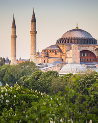 Fototapeta na wymiar Sultanahmet Camii / Błękitny Meczet, Stambuł, Turcja