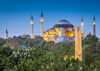 Fototapeta na wymiar Sultanahmet Camii / Błękitny Meczet, Stambuł, Turcja