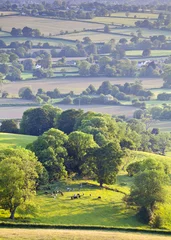  Idyllic rural farmland, Cotswolds UK © travelwitness