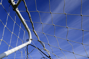 In the net