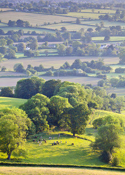 Idyllic rural farmland, Cotswolds UK