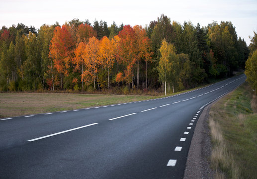 asphalt road in autumn landscape