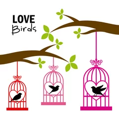 Papier Peint photo Oiseaux en cages amour