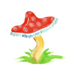 Amanita