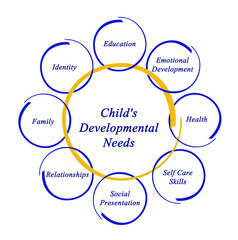 Child's Developmental Needs