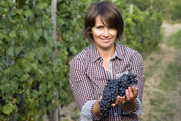 Closeup of woman in vineyard during harvest season