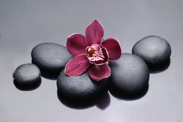 Fototapeta na wymiar Spa Stones and orchid