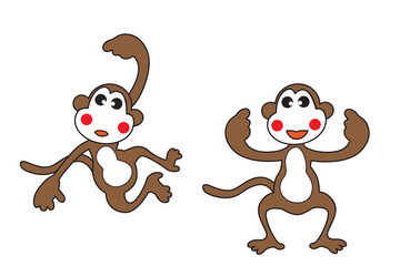 Cute monkey