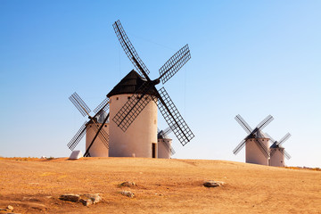Fototapeta na wymiar windmills in field