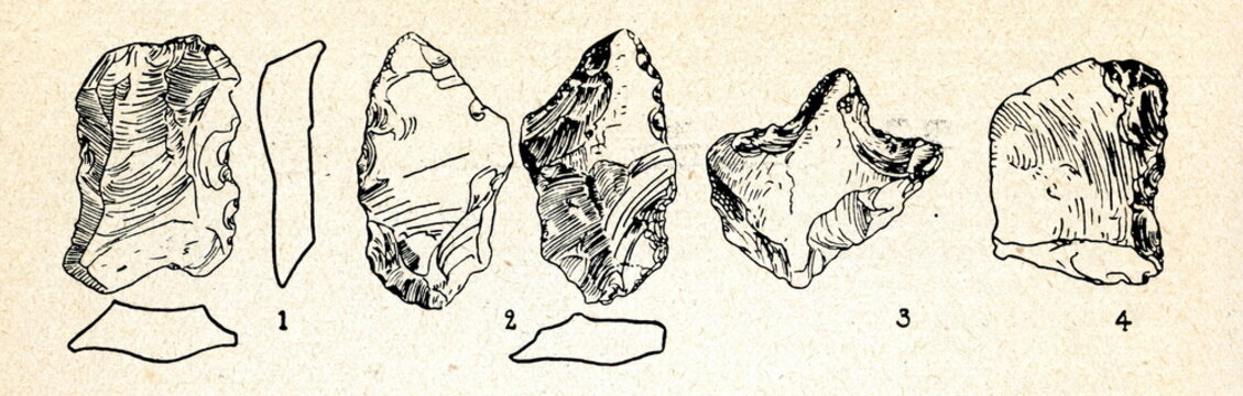 Flint implements from Schaalsee, Germany