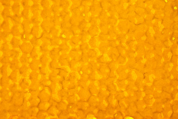 natural honeycomb texture, macro view