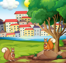 Two squirrels at the riverbank across the village