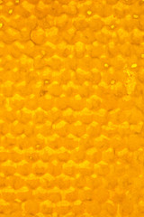 natural honeycomb texture, macro view