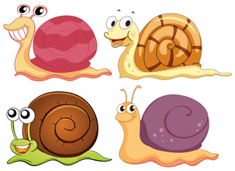 Four snails with different shells © GraphicsRF