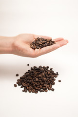 hand holding coffee beans