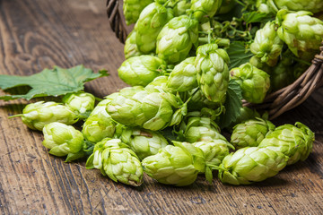 green hop cones on a wooden table