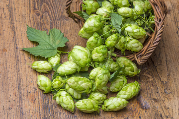 hop cones on a wooden table