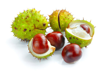 Chestnuts with crust on a white background © nmelnychuk