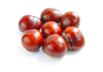 Chestnuts with crust on a white background