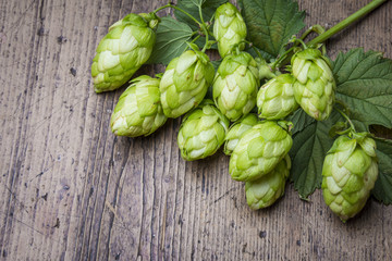 fresh hop cones on a wooden table