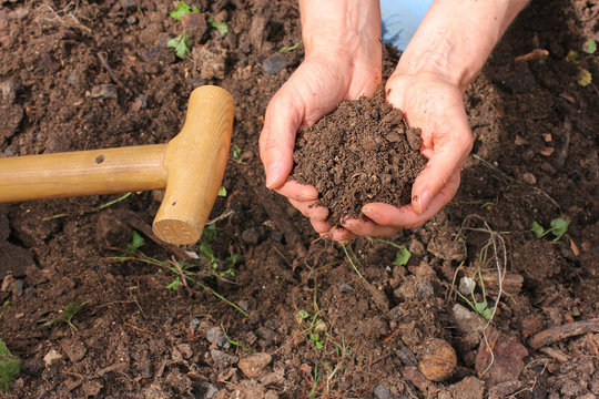 Komposterde, composted earth