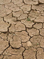 dried and cracked earth - global warming danger