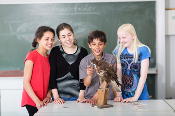 Schüler untersuchen Präparat