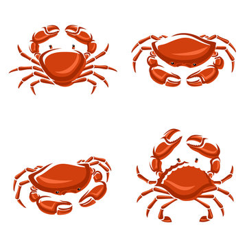 Crab set. Vector