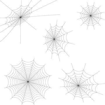 Set Spinnennetz Spinne Netz