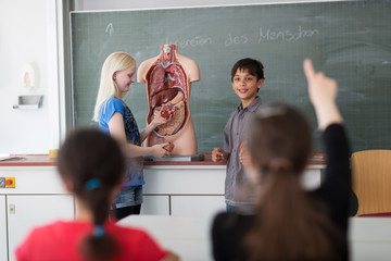 Schüler im Biologie-Unterricht