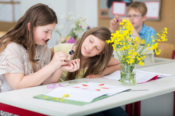 Schüler untersuchen Pflanze im Bio-Unterricht