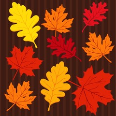 Autumn seamless pattern with leaves, vector illustration