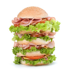 Junk food hamburger