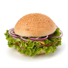 Junk food hamburger