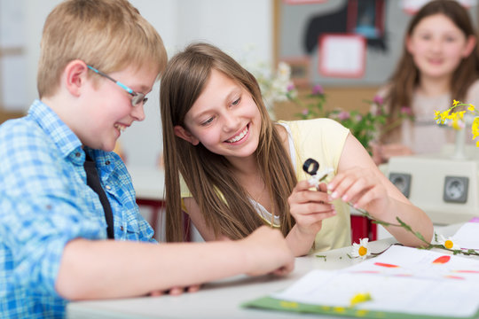 Sch&uuml;ler untersuchen Pflanze im Bio-Unterricht