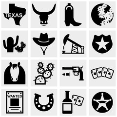Texas vector icons set on gray.