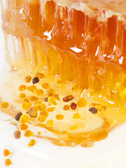fresh Honeycomb and bee pollen. close up