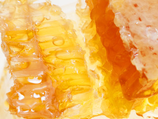 golden fresh Honeycomb texture, close up