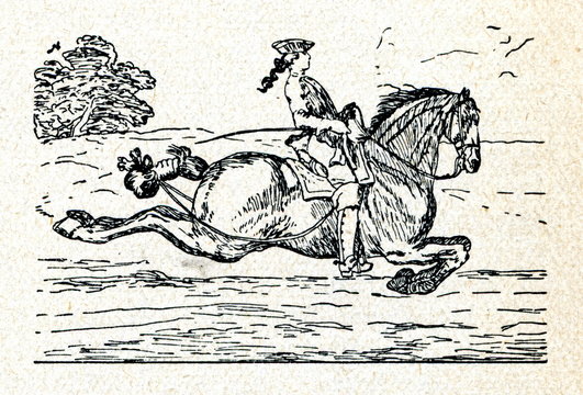 School jump - capriole