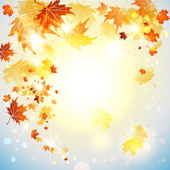 Naklejka na ściany i meble Background with flying autumn leaves