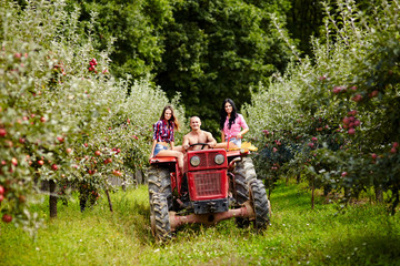 Young farmers on a tractor in the apple orchard © Xalanx