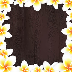White Frangipani Frame With Wood Background