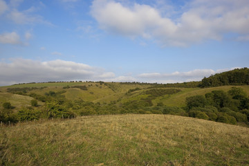 yorkshire wolds landscape
