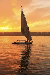 Foto op Plexiglas Felucca boot zeilen op de rivier de Nijl bij zonsondergang, Luxor © donyanedomam