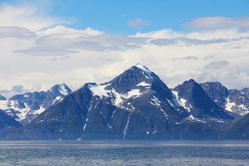 Fototapeta na wymiar Arctic góry i fiord