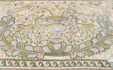 Fototapeta na wymiar Mozaika Heraclea Linkestis w Bitola, Republika Macedonii