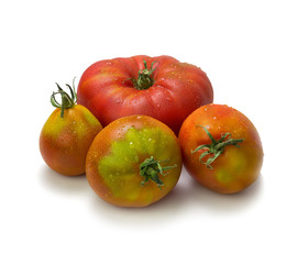 Close-up of heirloom tomatoes on white background