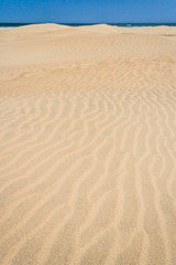 Fototapeta na wymiar Sand dunes and ocean
