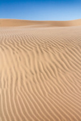 Dune de sable du désert