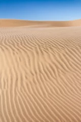 Photo sur Plexiglas Sécheresse Dune de sable du désert
